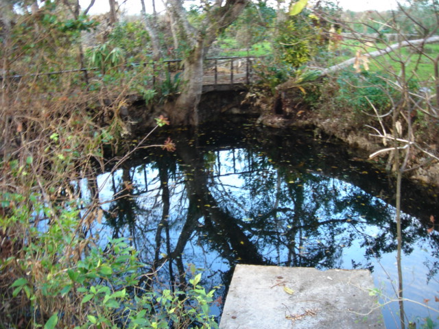dsc00637.jpg